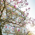 Hotel Schloss Leopoldskron 3*
